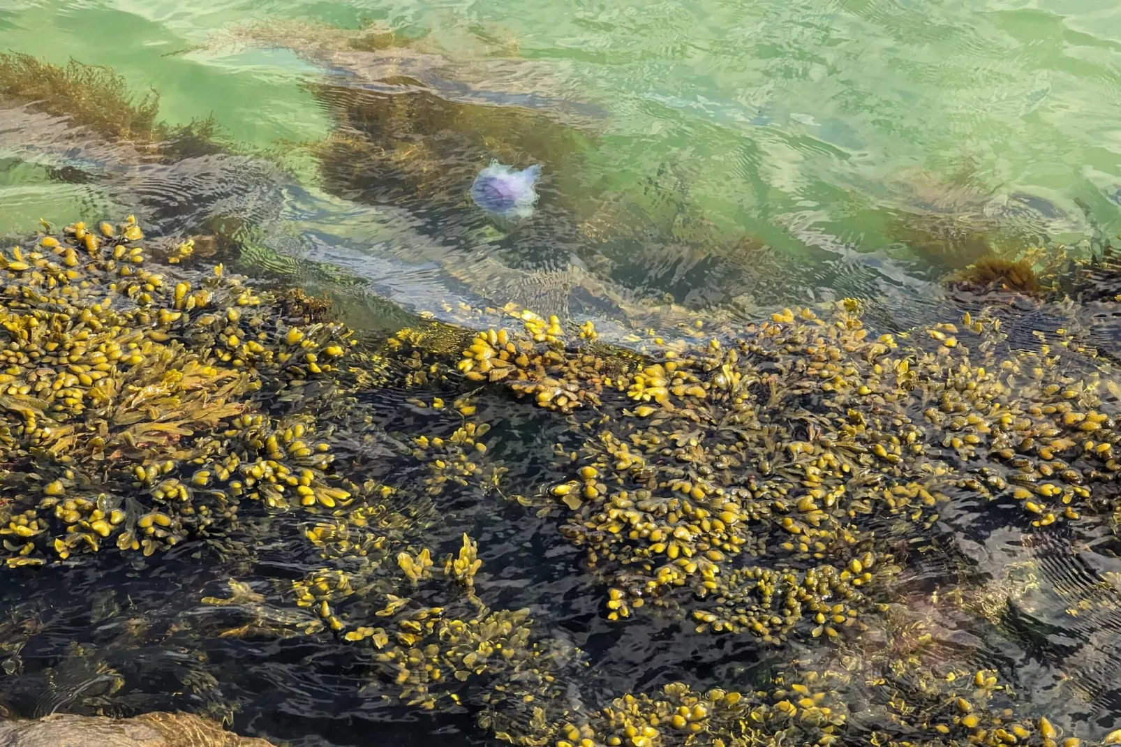 7 person holiday home in Frederikshavn-Untagged