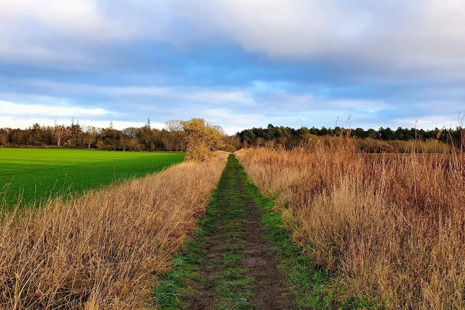 7 person holiday home in Grenaa-Untagged