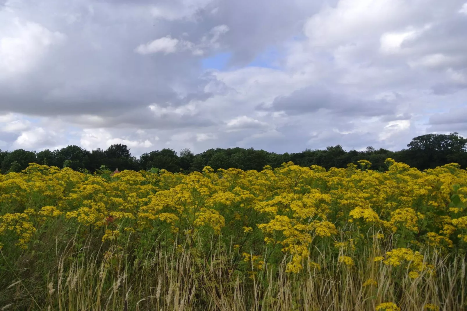 Panoramic Cottage Retreat-By Traum-Untagged