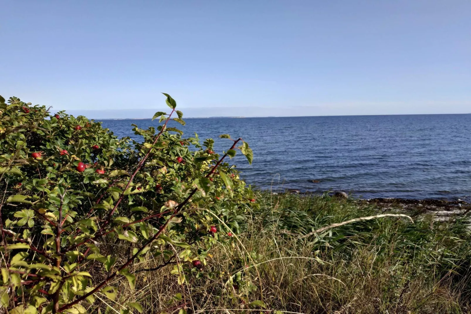 Maison de vacances pour 6 a Nordborg-Vue sur l'eau