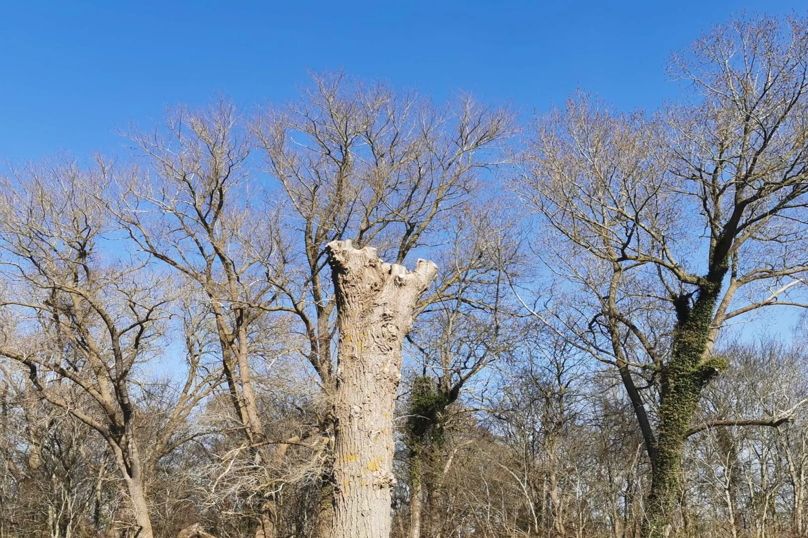 5 person holiday home in Holeby-Untagged