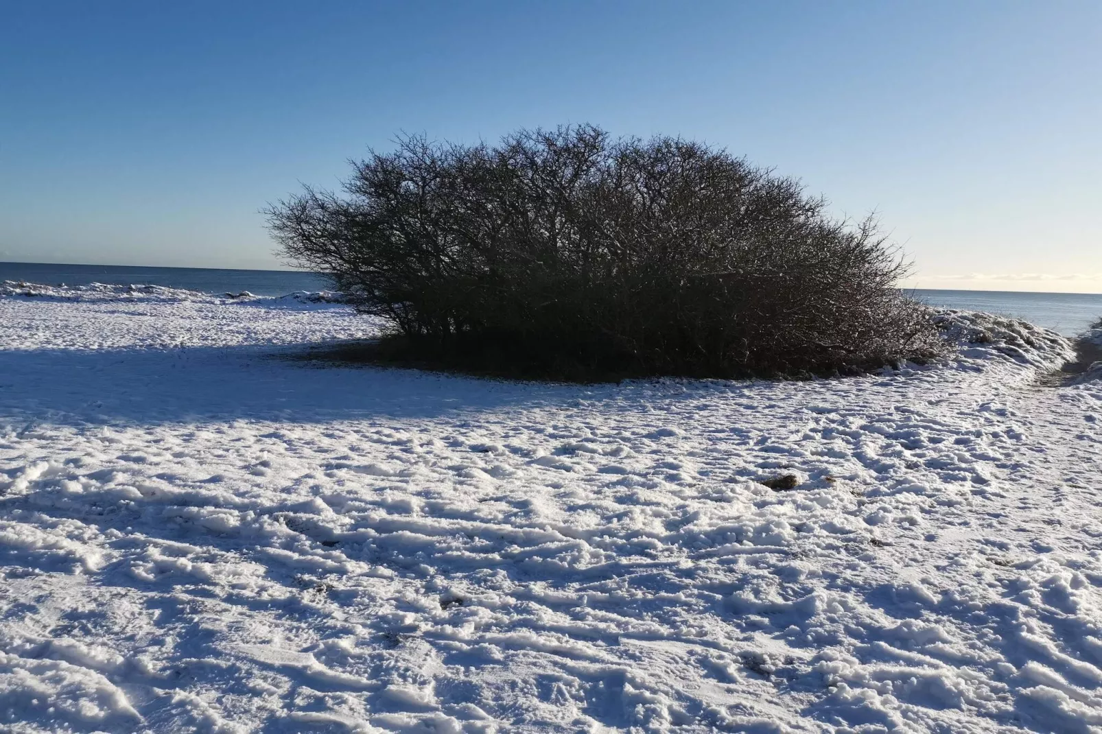 8 person holiday home in Idestrup-Untagged