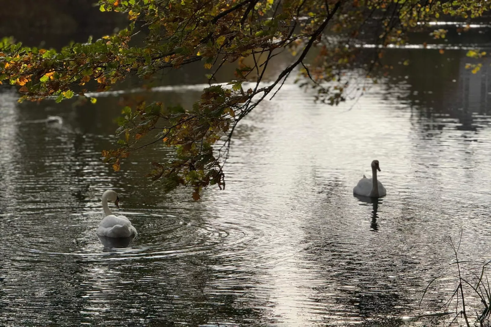 4 person holiday home in Gråsten-Water view