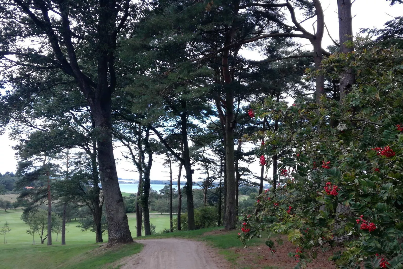 8 person holiday home in Skals-Untagged