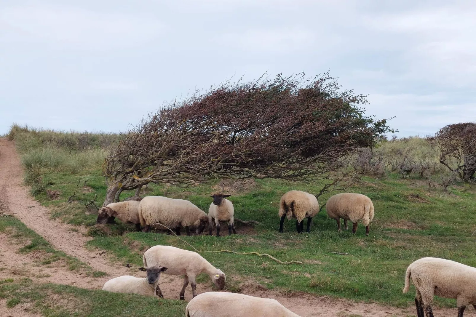 6 person holiday home in Hjørring-Untagged