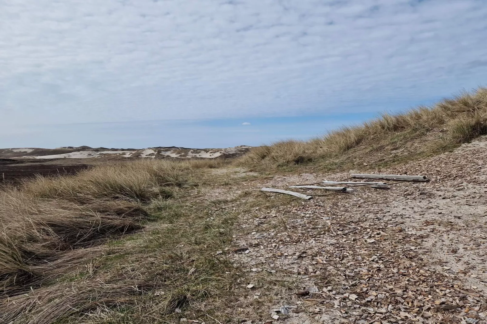 Cozy Dune Cottage Retreat-By Traum-Untagged
