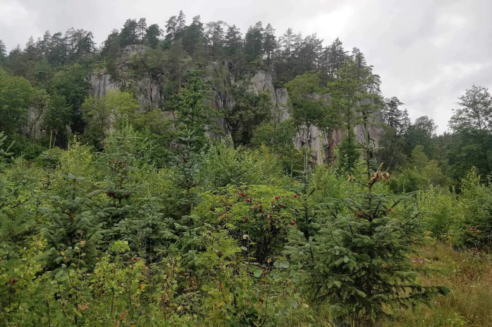 Maison de vacances pour 2 a RIMFORSA-Non tagué