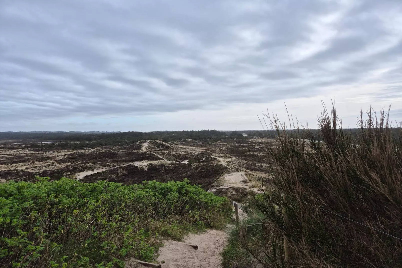 24 persons holiday home in Nørre Nebel-Untagged