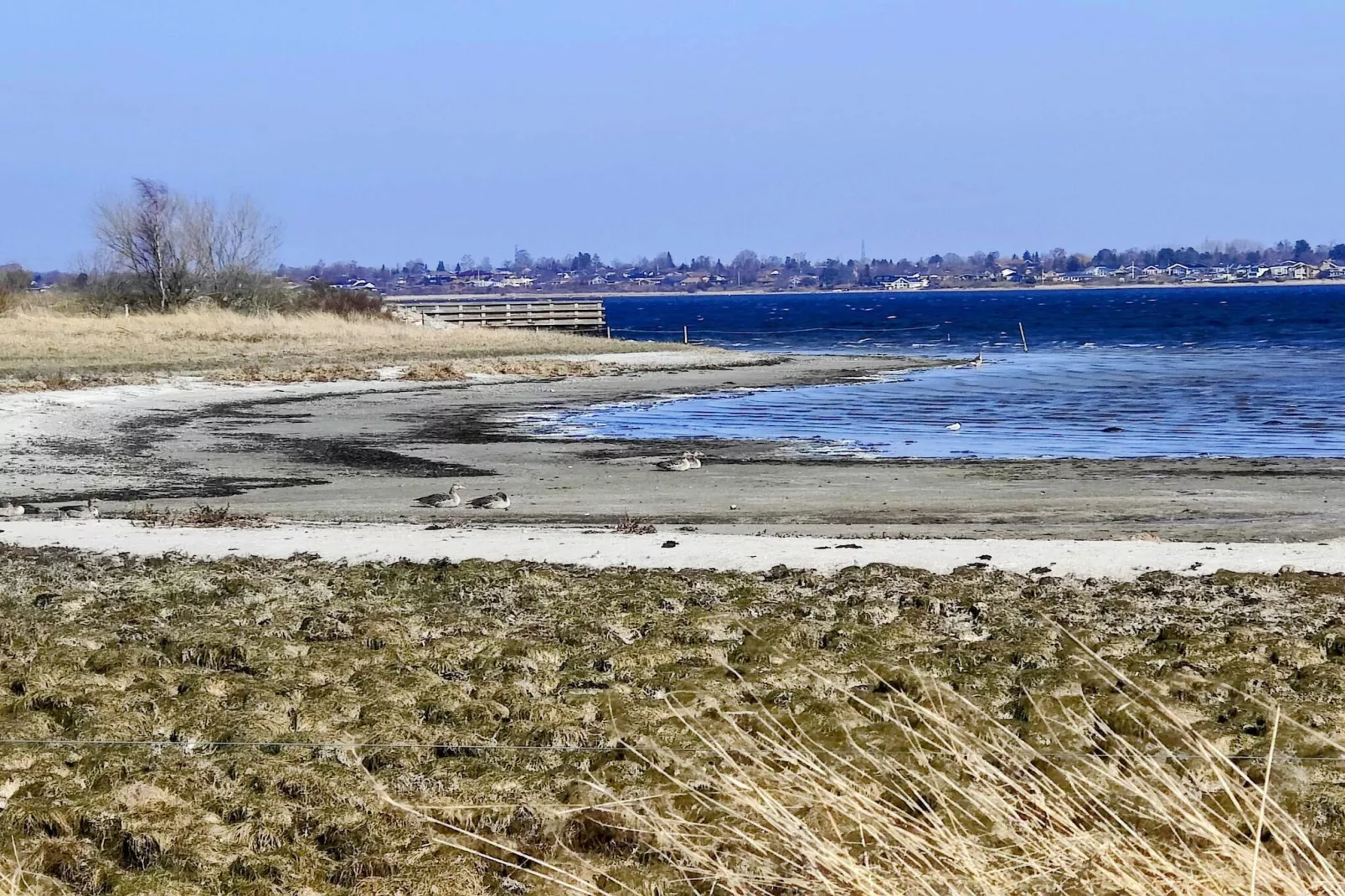 Maison de vacances pour 4 a Skibby-Vue sur l'eau