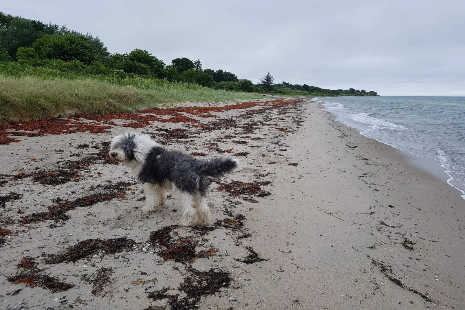 8 person holiday home in Odder-Water view