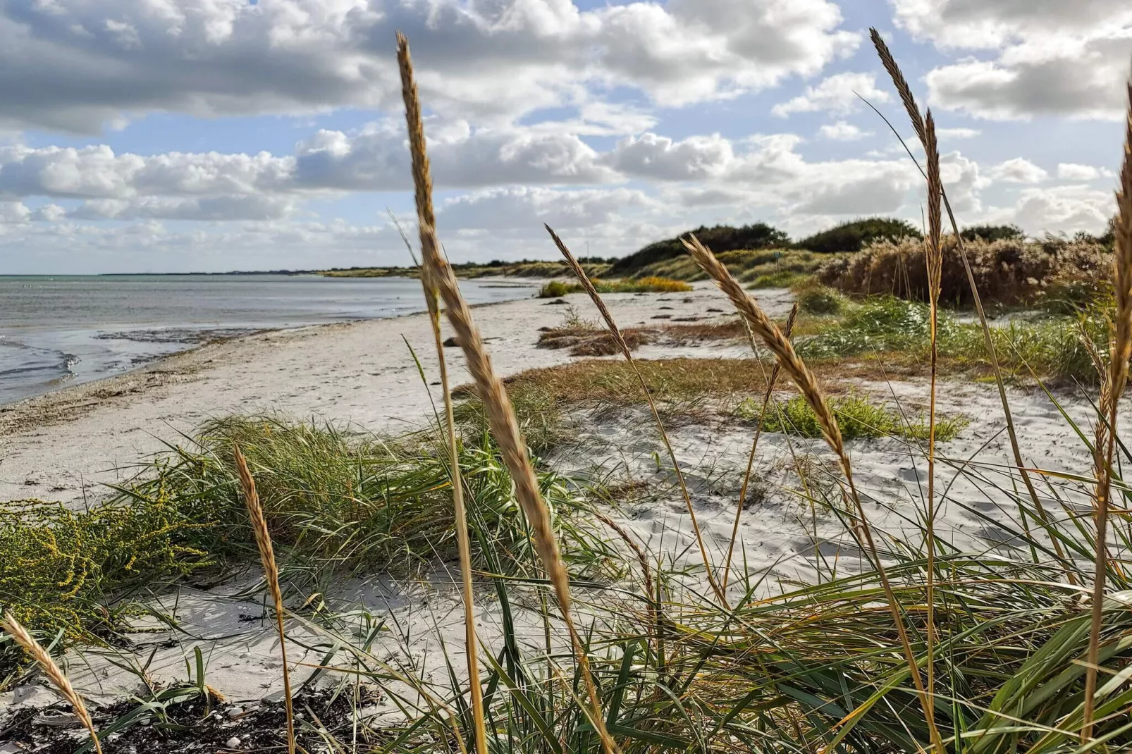 16 Personen Ferienhaus in Væggerløse-Wasserblick