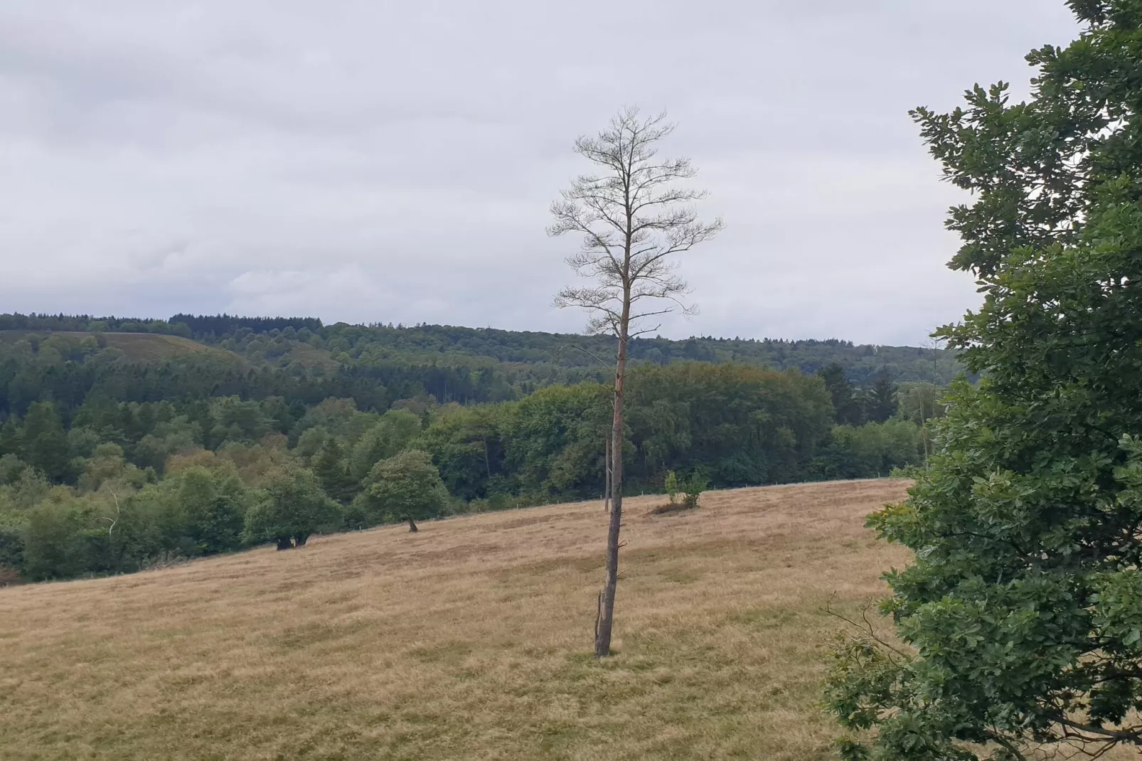 Helle Cottage-Oase in Silkeborg-By Traum-Nicht zugeordnet