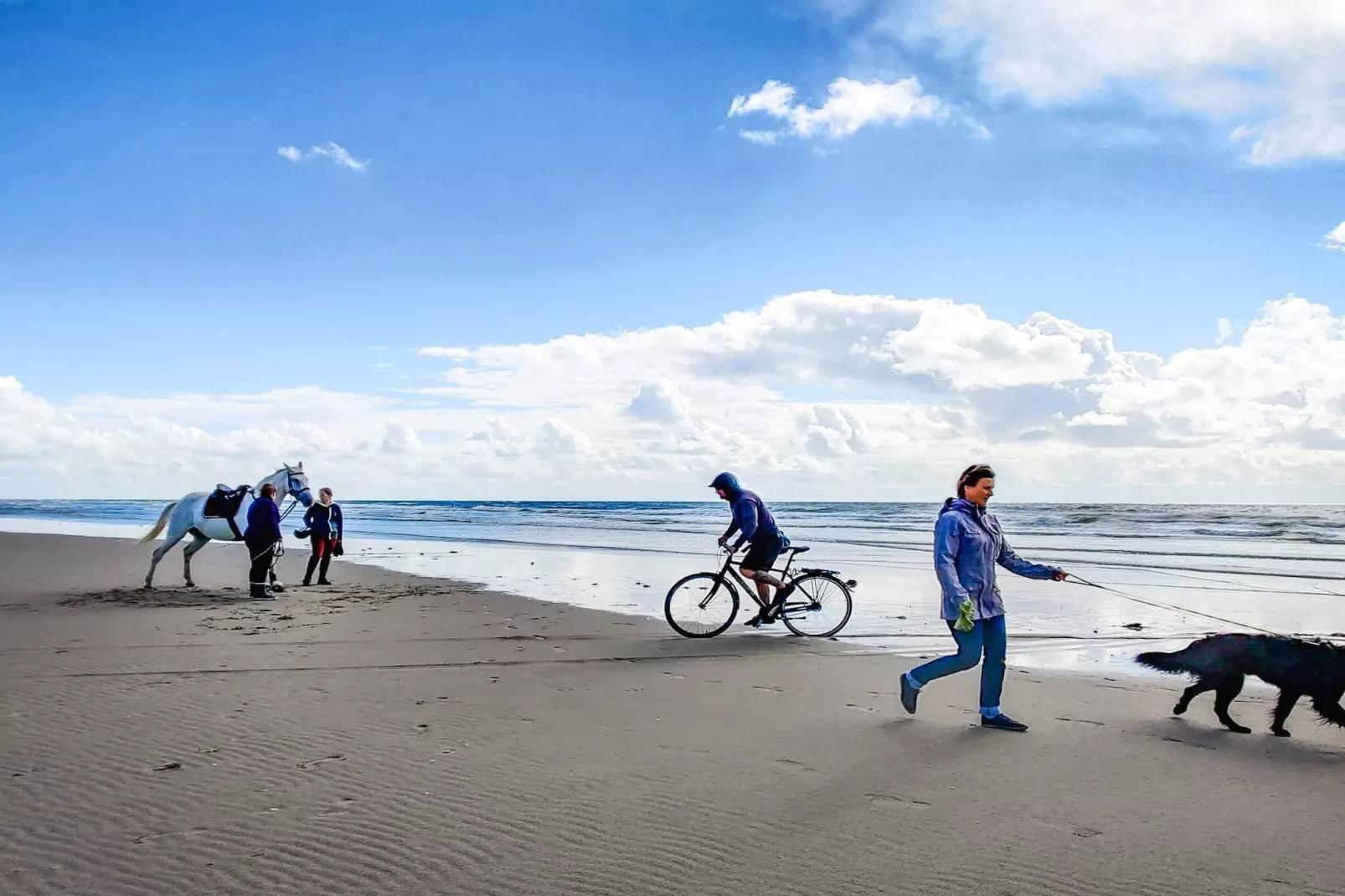 9 person holiday home in Rømø-Water view