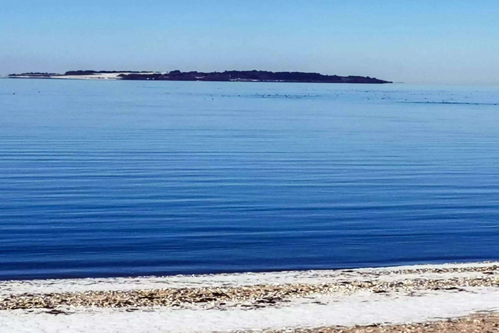 Secluded Forest Haven-By Traum-Water view