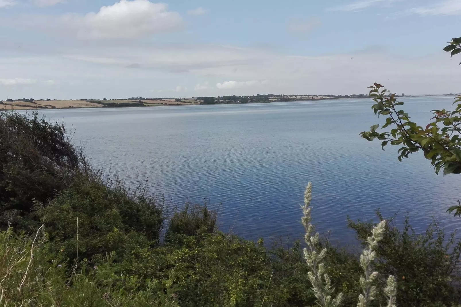 Serenite en bord de mer a Faldsled-By Traum-Vue sur l'eau
