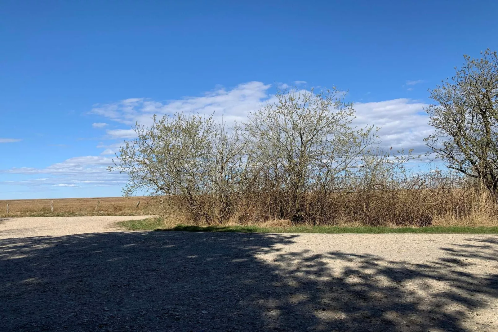 Maison de vacances pour 4 a Hemmet-Non tagué
