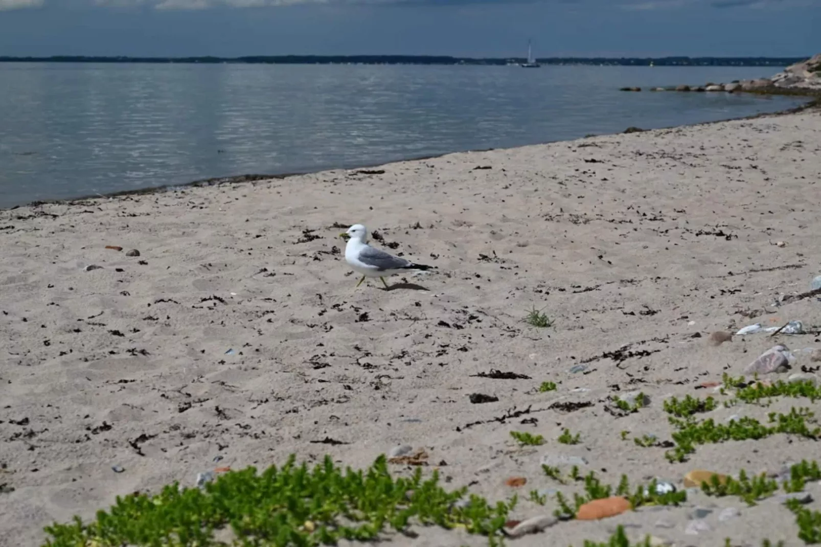 Villa de Bord de Mer elegante a Ven-By Traum-Vue sur l'eau