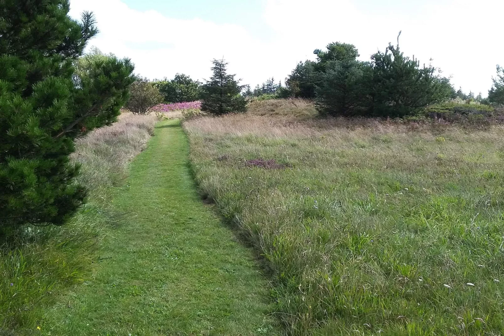 6 person holiday home in Fjerritslev - Untagged