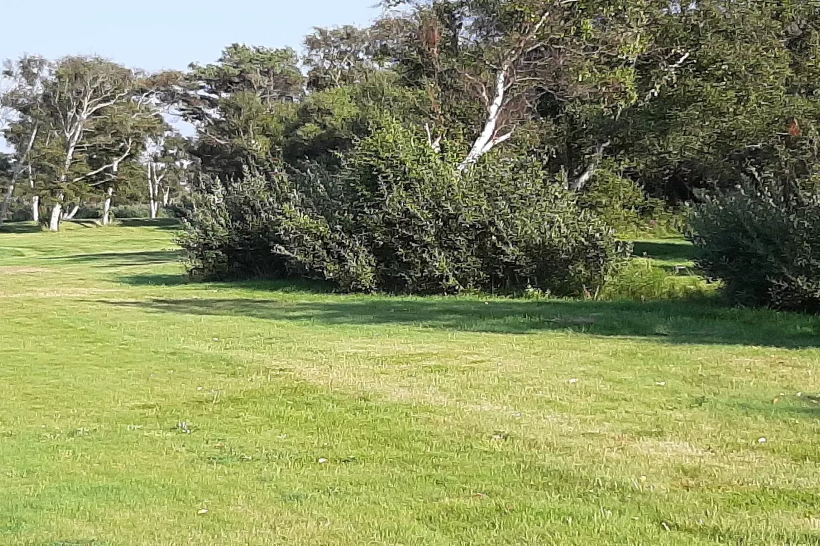 6 Personen Ferienhaus in Læsø-Nicht zugeordnet