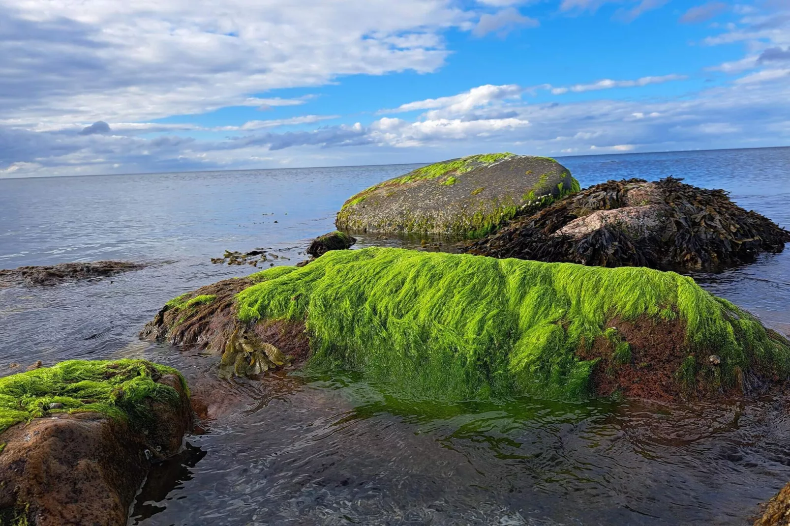 5 person holiday home in Otterup-Water view