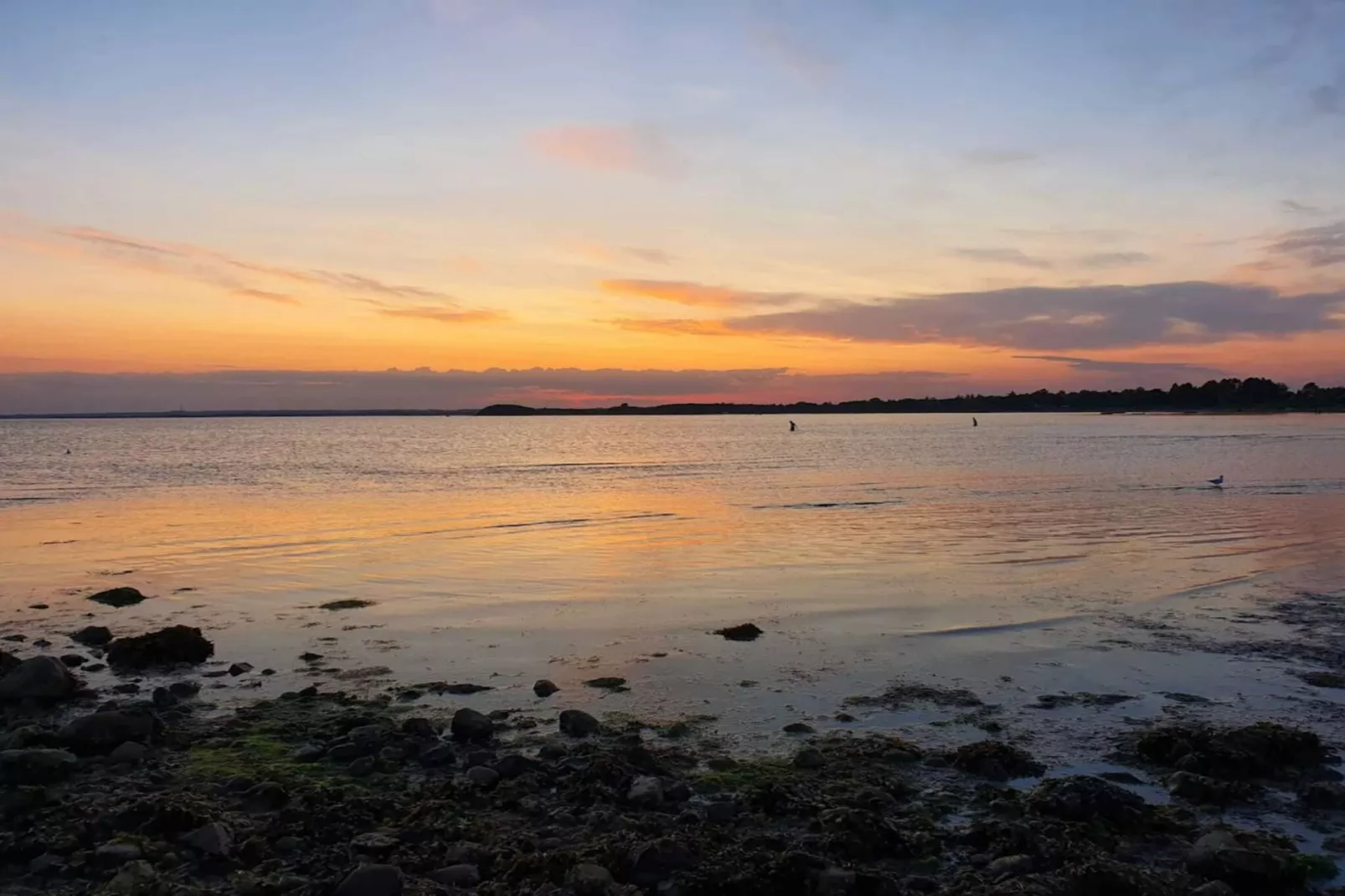 Maison de vacances pour 4 a Knebel-Vue sur l'eau