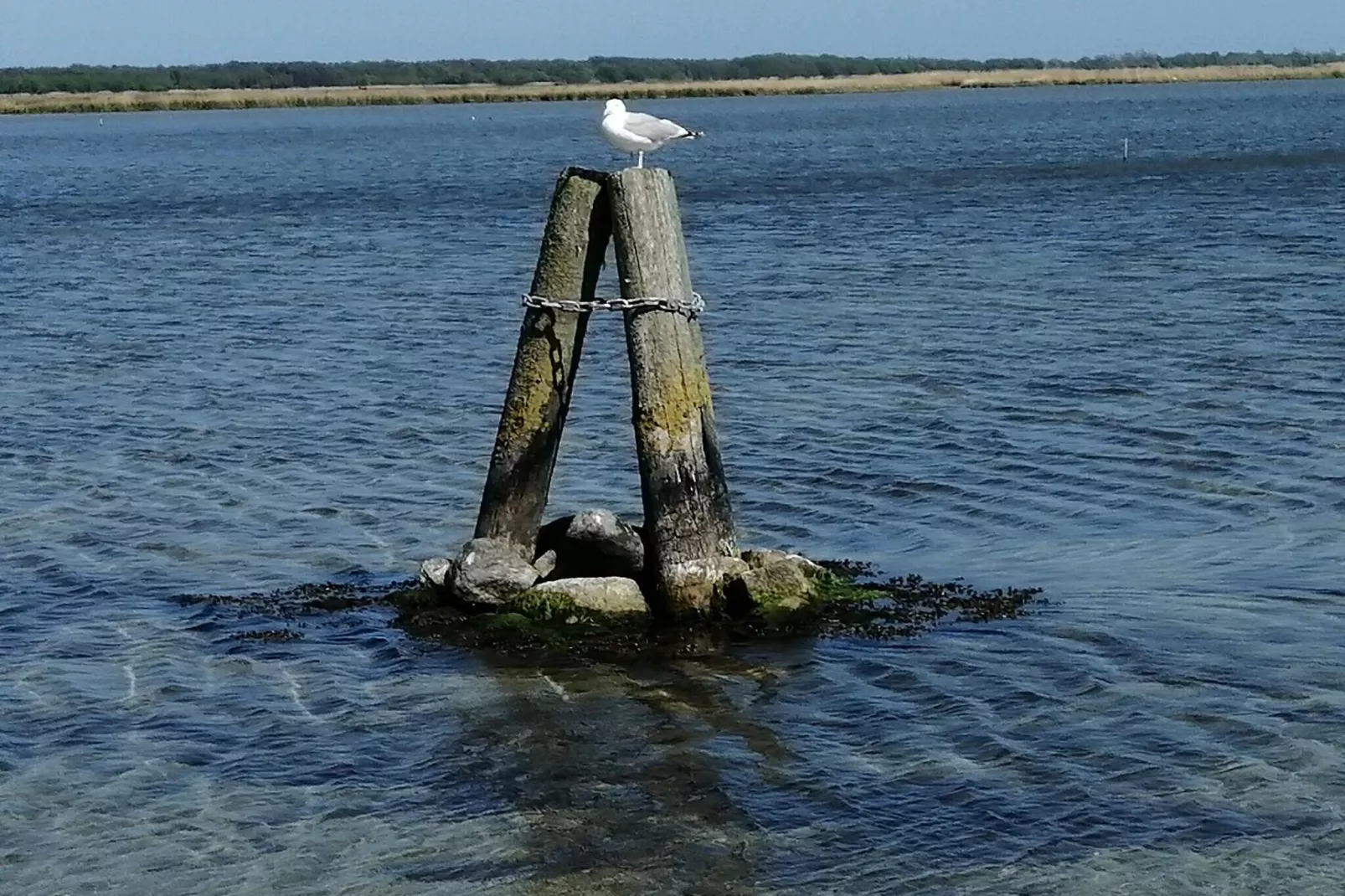 Maison de vacances pour 10 a Stege-Vue sur l'eau