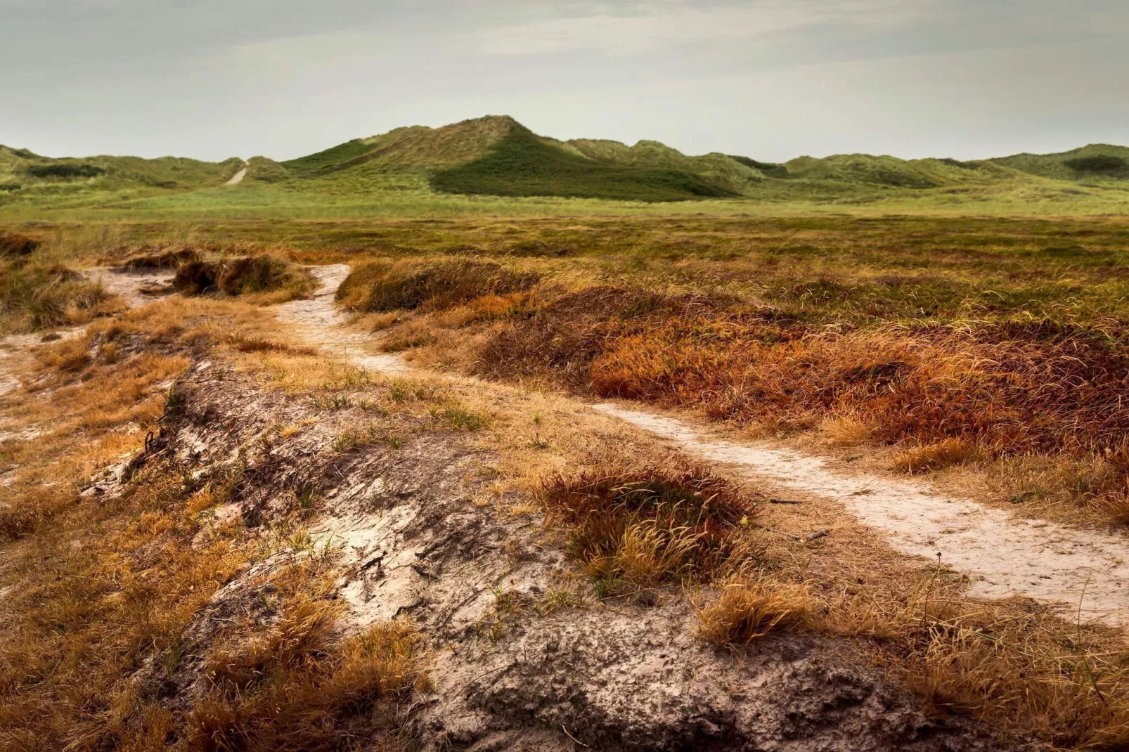 6 person holiday home in Hvide Sande-Untagged