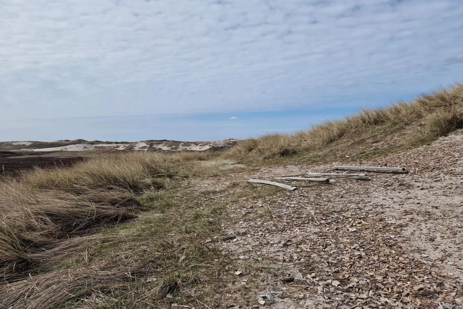 5 Personen Ferienhaus in Hvide Sande-Nicht zugeordnet