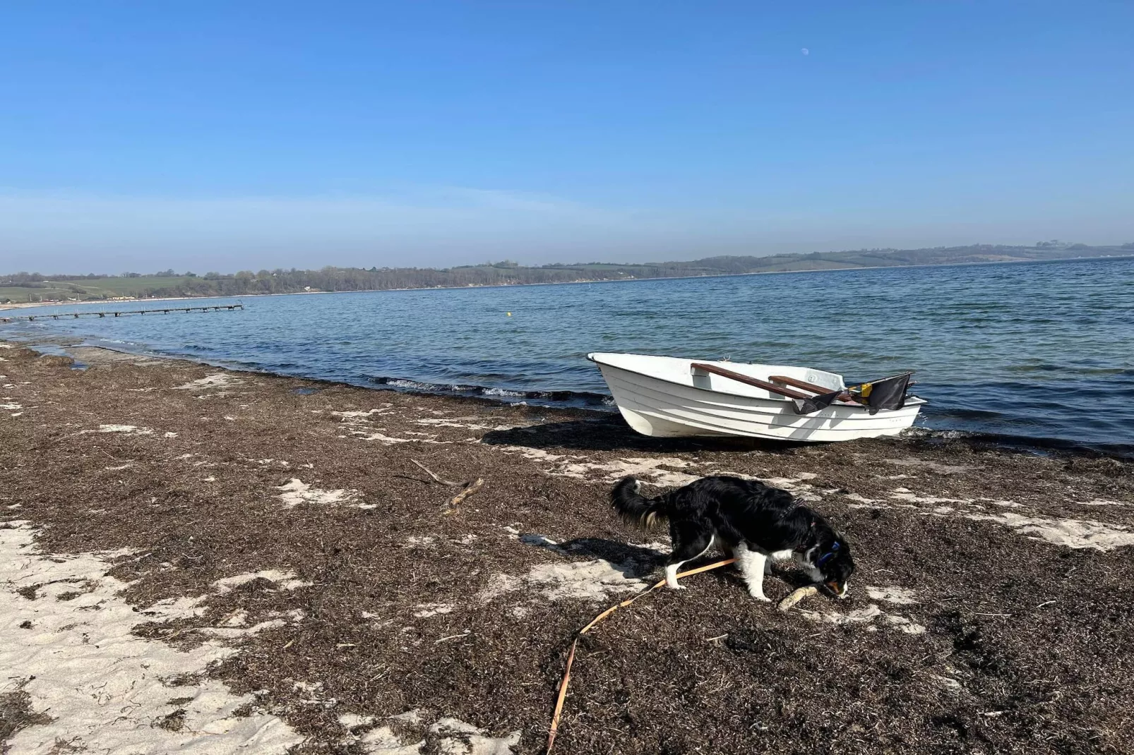 4 person holiday home in Broager-By Traum-Water view