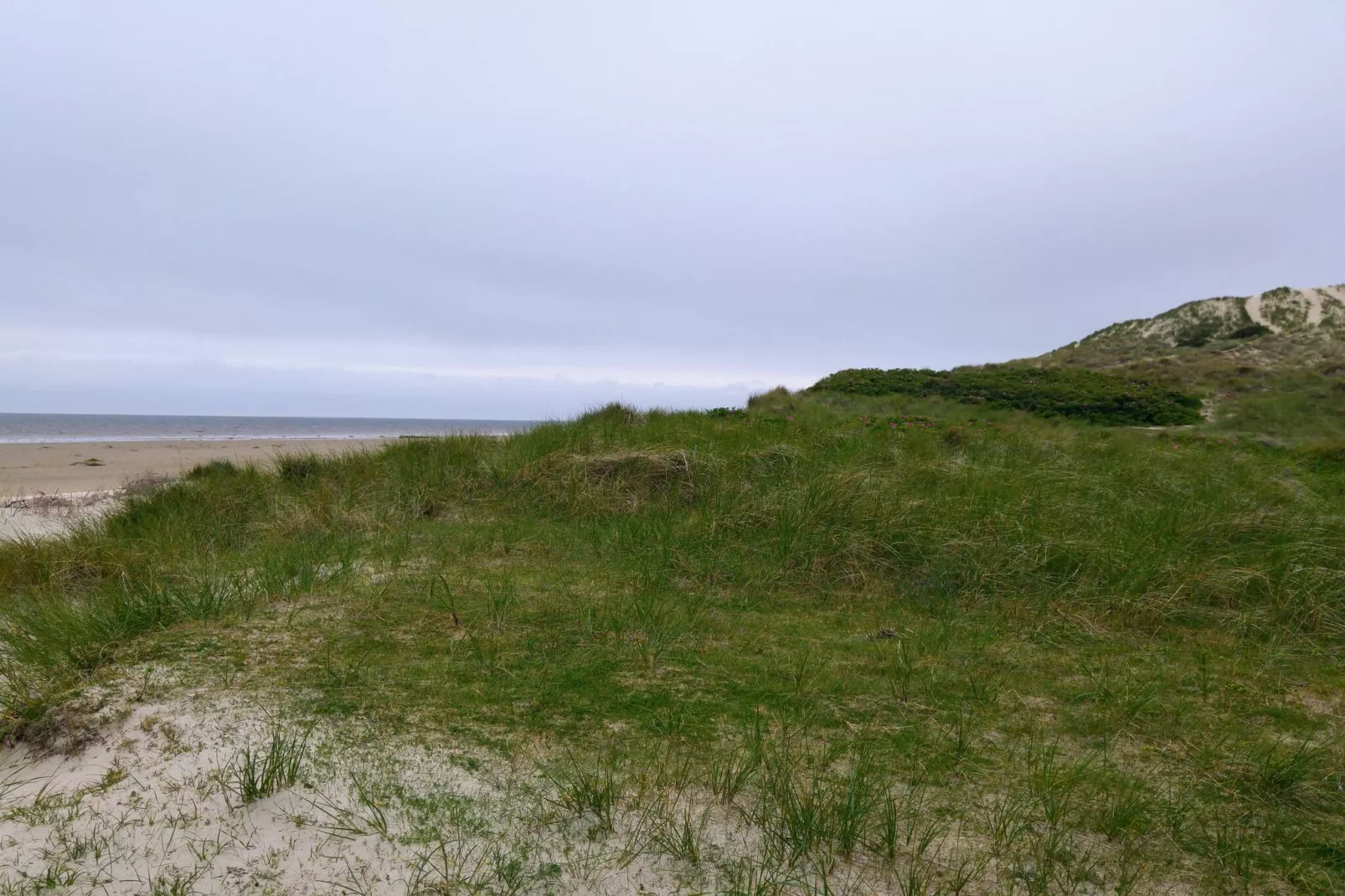 Retraite confortable a Sonderho -- By Traum Ferienwohnungen-Non tagué