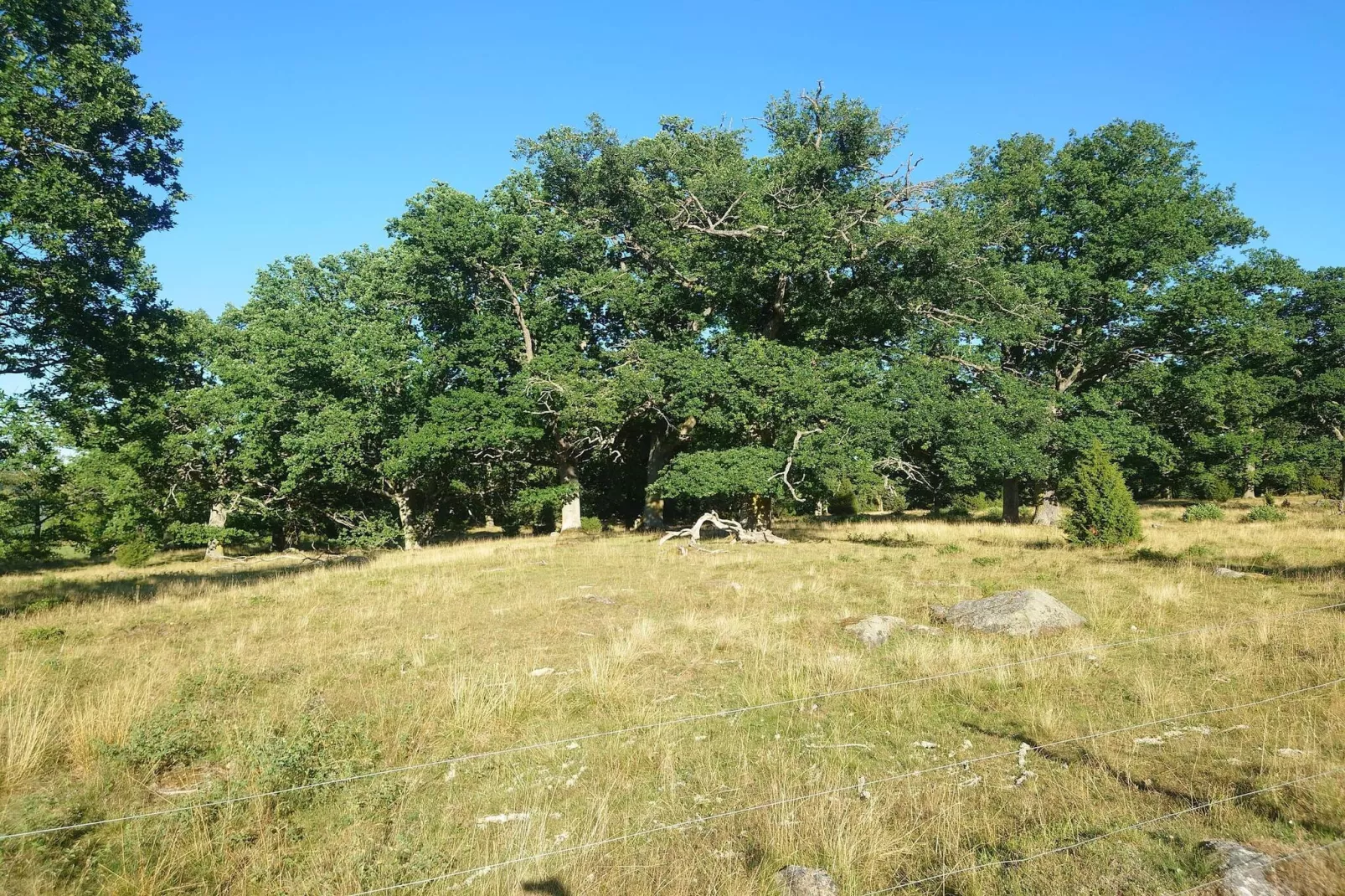 4 person holiday home in VETLANDA-By Traum-Untagged