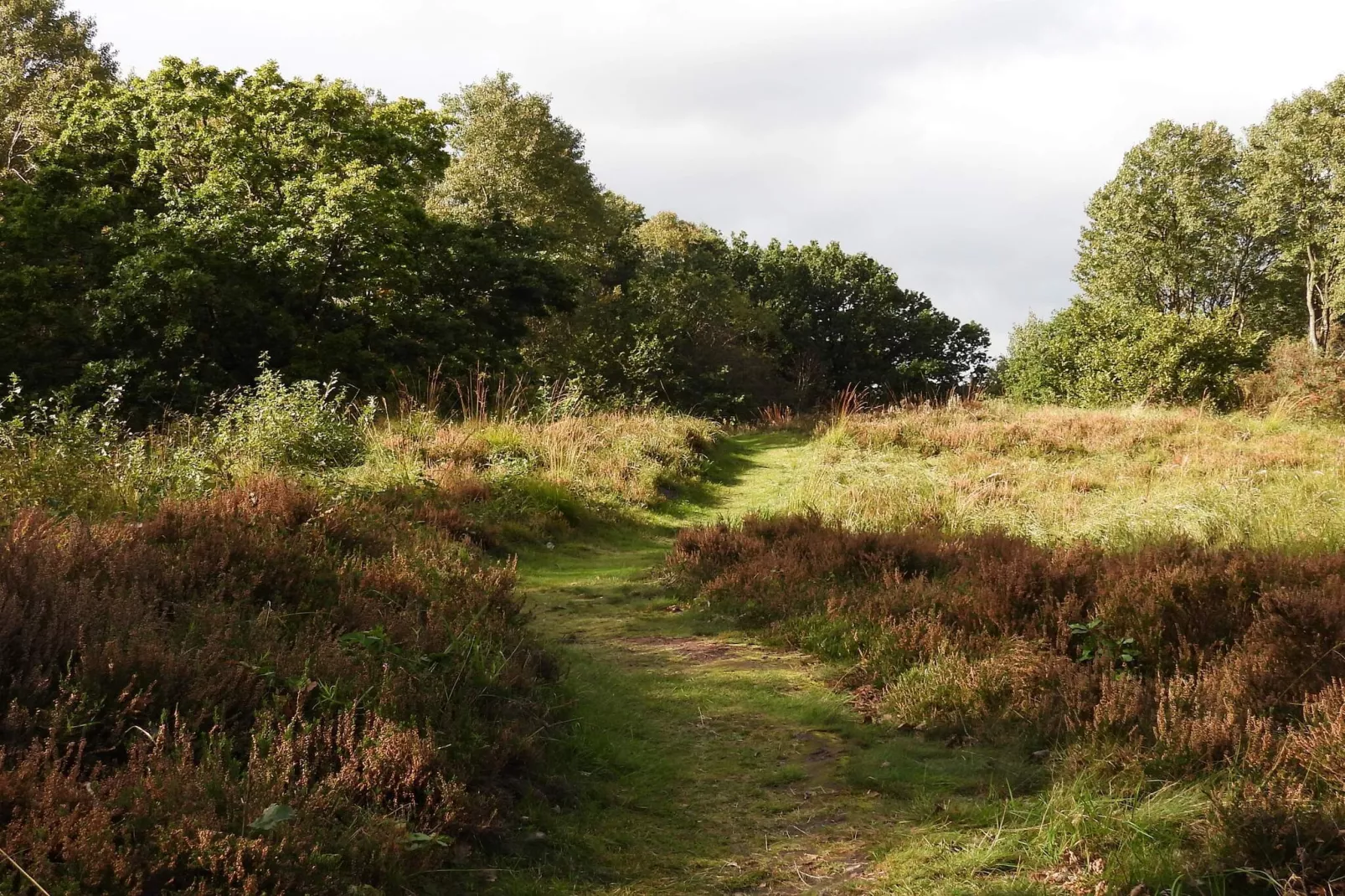 Maison rustique avec cheminée-Non tagué