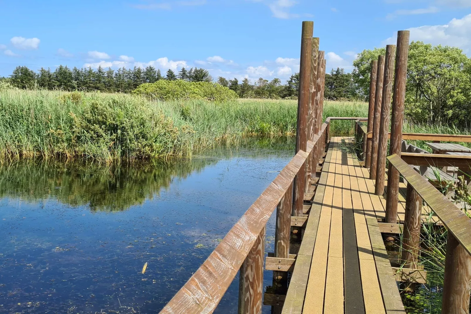 Maison de vacances pour 6 a Vesløs-By Traum-Vue sur l'eau