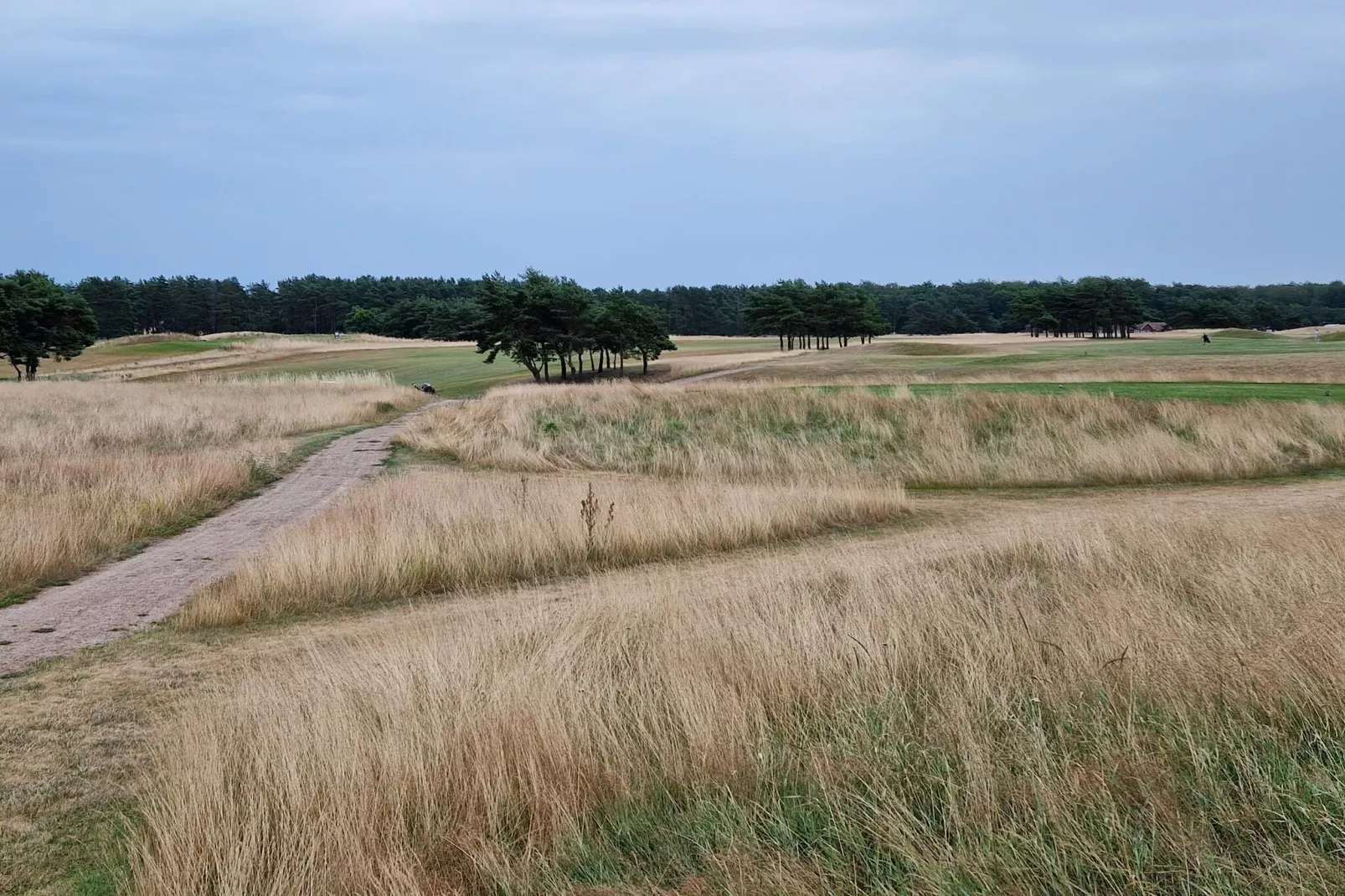 6 person holiday home in DEGEBERGA-By Traum-Untagged