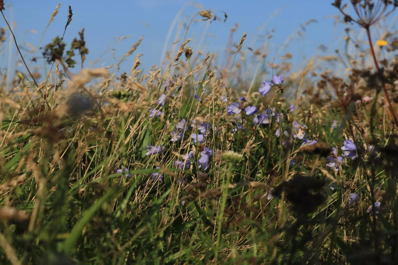 8 person holiday home in Vestervig-By Traum-Untagged