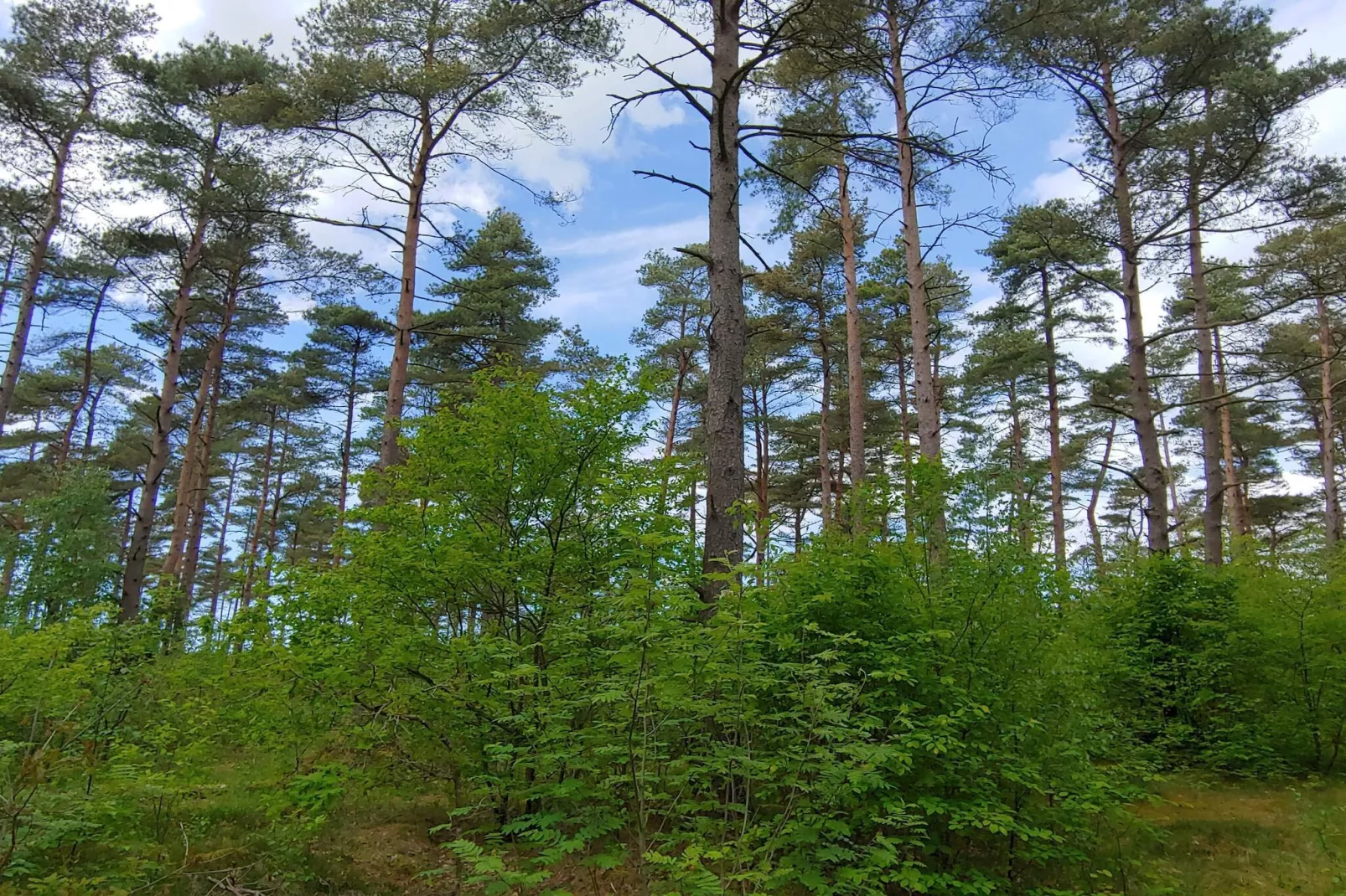 Maison de vacances pour 6 a Oksbøl-By Traum-Non tagué