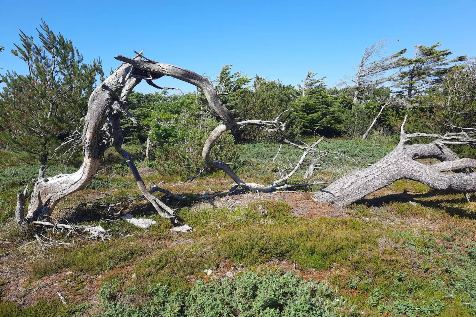 Tranquil Retreat in Klitmoller - By Traum Ferienwohnungen-Untagged