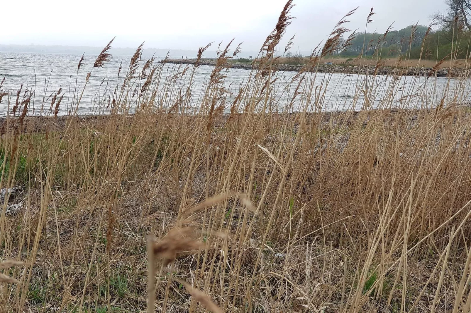 6 Personen Ferienhaus in Egernsund-By Traum-Wasserblick