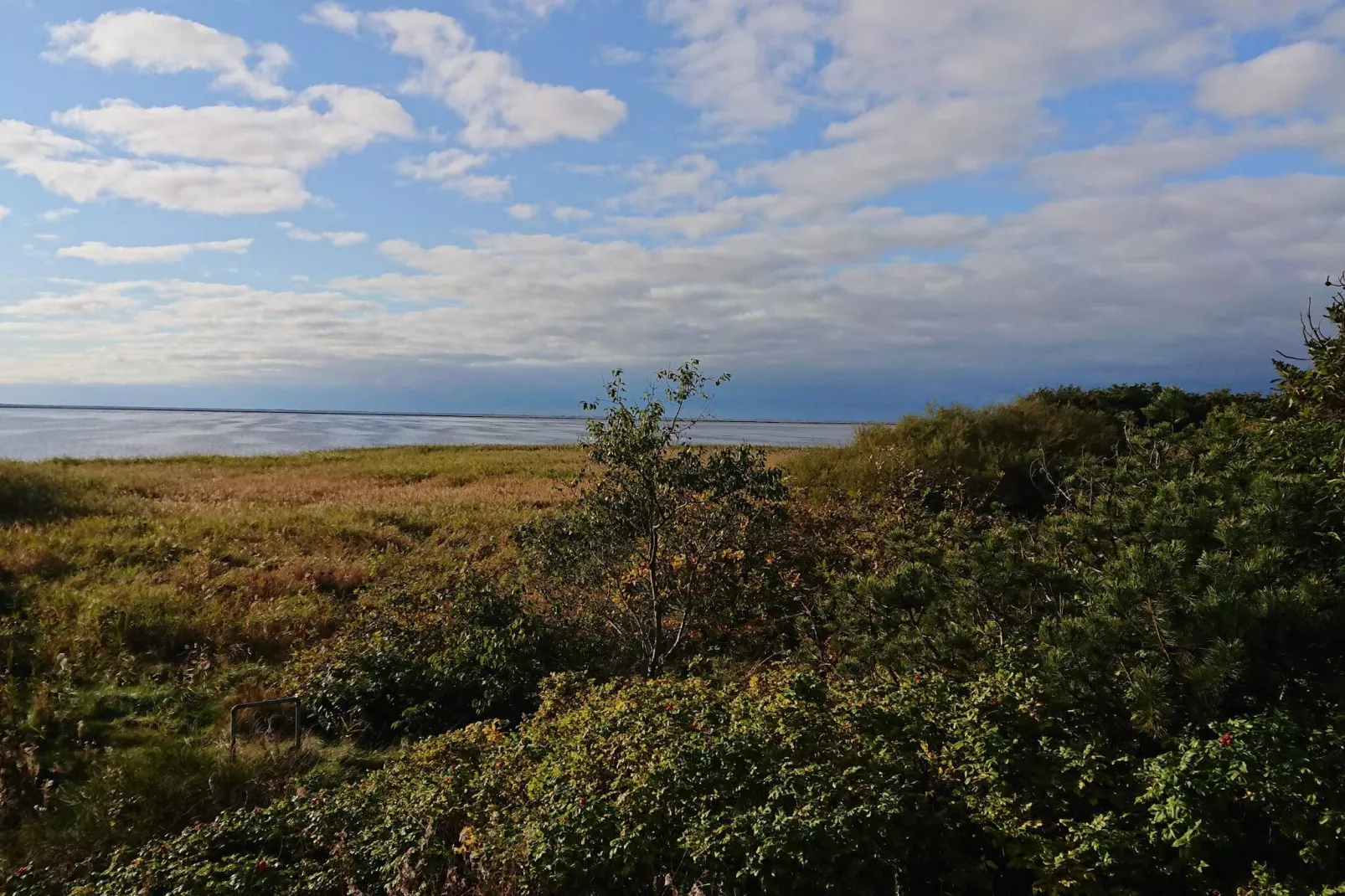 10 Personen Ferienhaus in Skjern-By Traum-Nicht zugeordnet