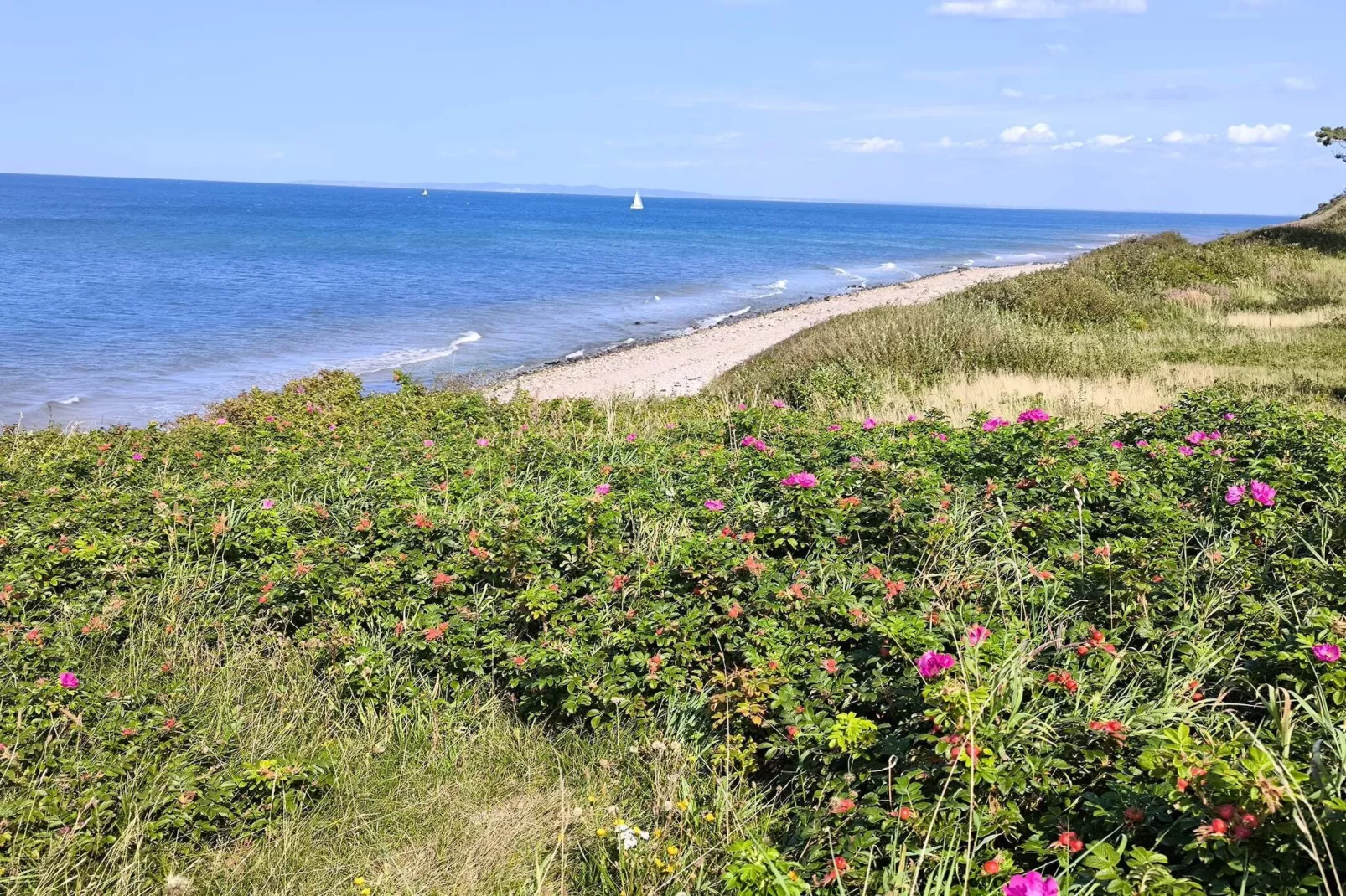 Maison de vacances pour 10 a Gilleleje-By Traum-Vue sur l'eau