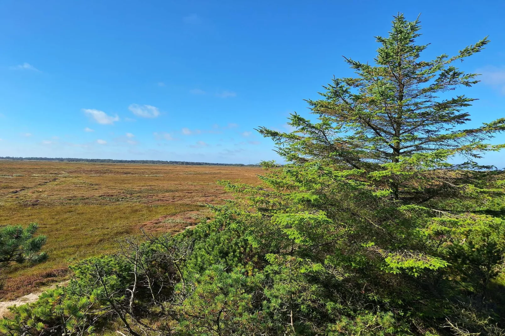 Gemutliches Refugium mit Spa -- By Traum Ferienwohnungen-Nicht zugeordnet
