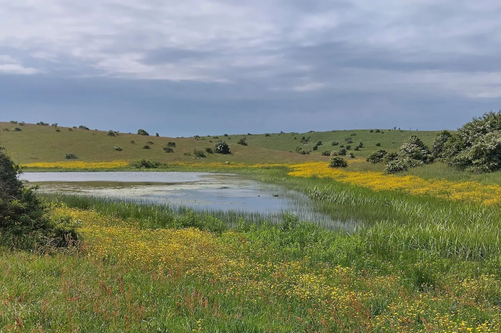 4 Personen Ferienhaus in Martofte-By Traum-Wasserblick