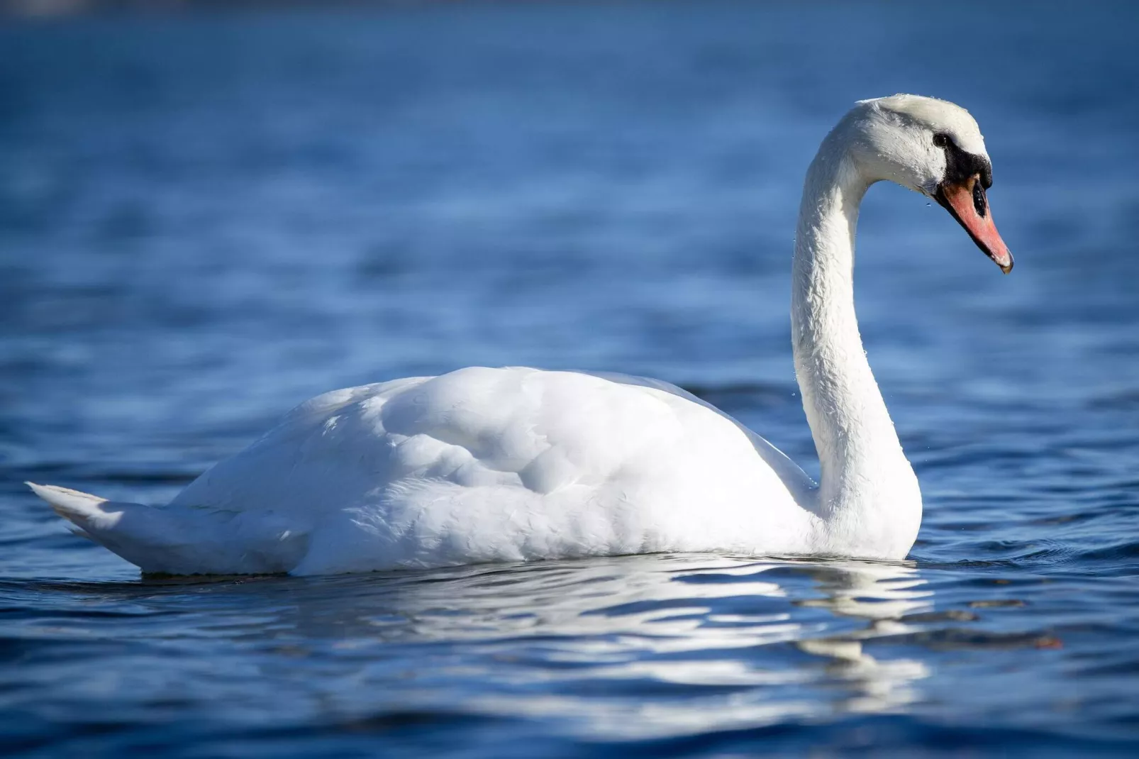 8 person holiday home in Sjølund-By Traum-Water view