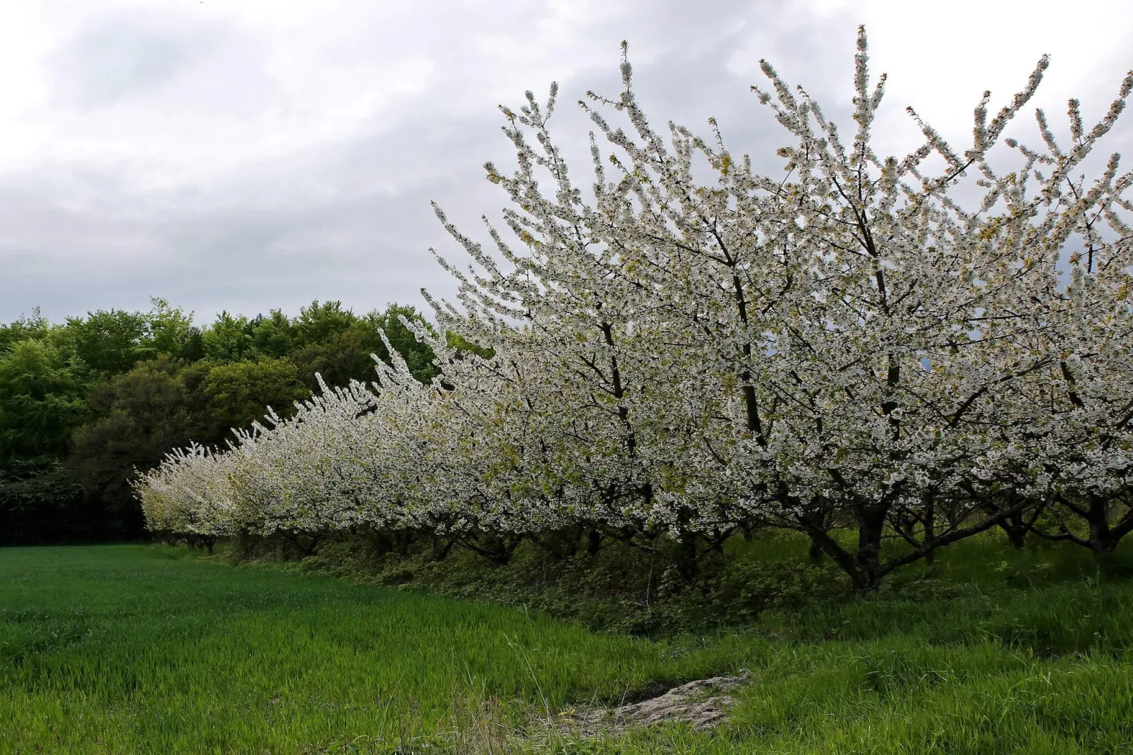 Villa de luxe avec piscine a Lohals -- By Traum Ferienwohnungen-Non tagué