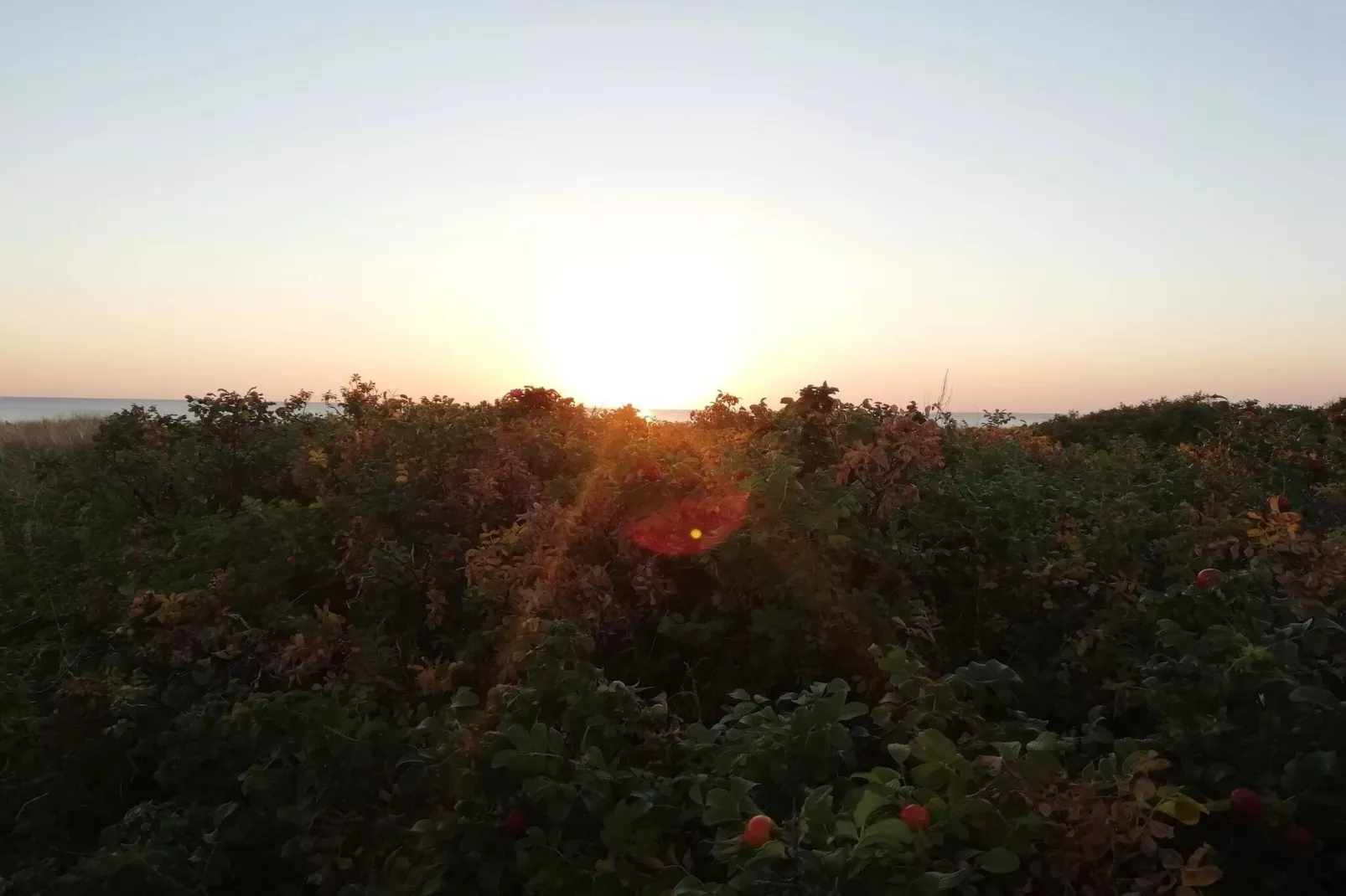 Tranquil Beach Retreat - By Traum Ferienwohnungen-Untagged