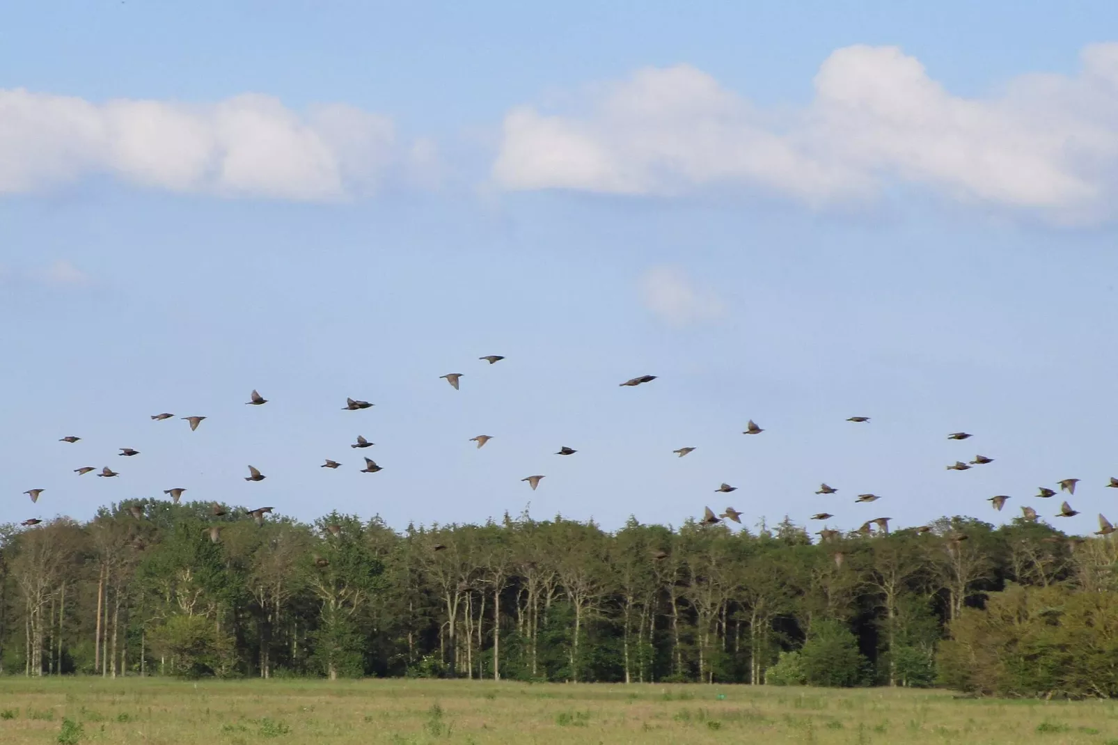 4 person holiday home in Bogense-By Traum-Untagged