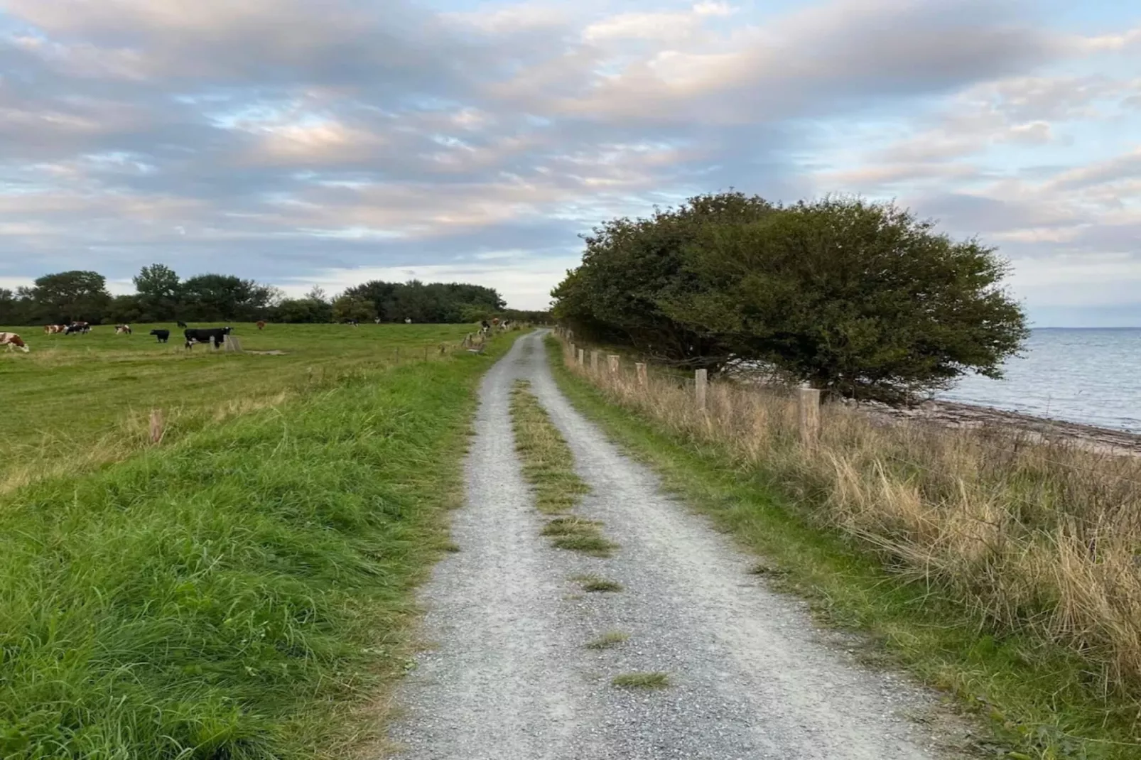 Maison de vacances pour 8 a Bjert-By Traum-Vue sur l'eau