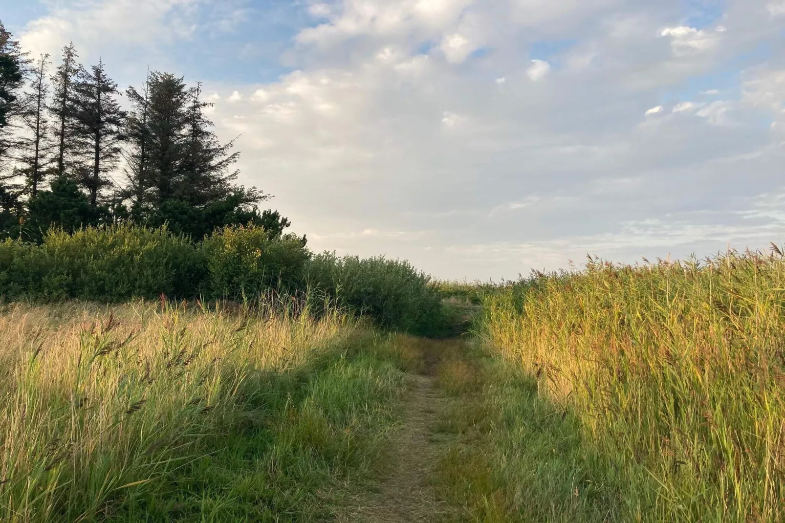 6 person holiday home in Hals-By Traum-Untagged