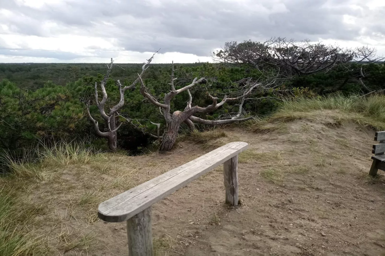 6 person holiday home in Ulfborg-By Traum-Untagged