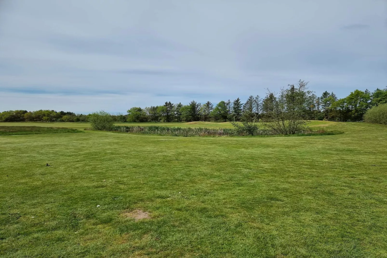 Maison de vacances pour 6 a Pandrup-Non tagué